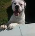 Max Bolger - Facebook