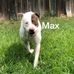 Max Bolton - Facebook