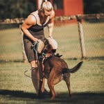 linnea & max - @maxbonecrusher - Instagram