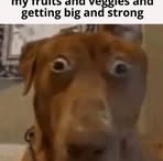 Max Bone - Facebook