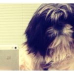 Max Bonner🐶 - @maxbonner_dog - Instagram