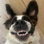 Max Bonsall - @maxbonsall - Instagram