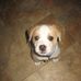 Max Booker - Facebook