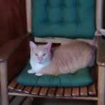 Max Boothe - Facebook