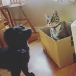 Ash&Abbie - @max.boots - Instagram