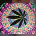 Max Borchard - Facebook