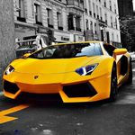 Max_Bormann - @maxbormann - Instagram