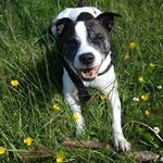 max boulton - @maxboulton686 - Instagram