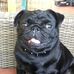 Max Boulton - Facebook