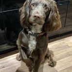 Max Bower - Facebook