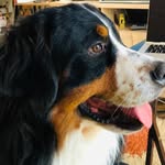 Max #boyero - @max_boyero - Instagram