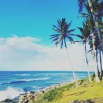 Max_brantley - @max_brantley - Instagram