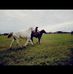 Maxi Brauer - Facebook