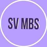 SV der Max-Brauer-Schule - @sv_mbs - Instagram