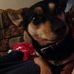Max Bridgeman - Facebook