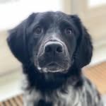 Max_Britt - @max1238211 - Instagram