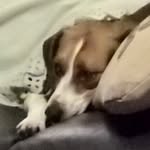 Maxine Broadhead - @maxine.broadhead - Instagram