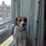 Maxine Broadhead - @broadheadmaxine - Instagram