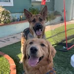 Max & Brodie - @maxithemillionaire - Instagram