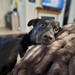 Max Brodie - @maxedadventures - Instagram