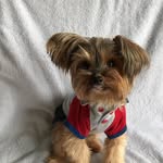 Max Brodie Miller - @morky_max - Instagram