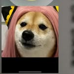 Max - @maxbrodieeee - Instagram