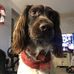 Max Of Morgan-Brook - Facebook