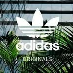Max Bruckmann - @bruckmannmax - Instagram