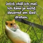 max Bruhn - @bruhn43 - Instagram