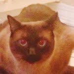 Maximus Brundage - @max_the_maximus - Instagram