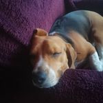 Max_bruni - @max_brunim - Instagram
