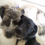 Max&Bruni - @maxybruni - Instagram