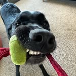 Max Bryant - @maxbryant - Instagram