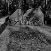 Max and Bryson - @mtb_bmx.sends - TikTok
