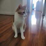 Max bucher - @bucher4474 - Instagram