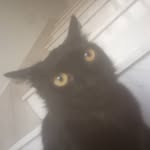 @max__budalio - Instagram