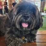 Max - @max.budampati - Instagram