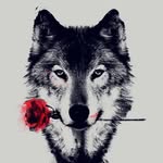 max_buff - @max_buff4 - Instagram