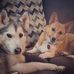 Max Buffington - Facebook