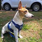 MAX BUITRAGO - @max080821 - Instagram