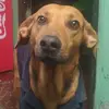 🤍🐶🐕Max buitrago 🐕🐶🤍 - @max.buitrago - TikTok