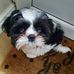 Max Bullock - Facebook