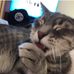 Max Bunch - Facebook