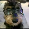 Igor - @maxburk - TikTok