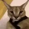 Max Burk - @max.burk6 - TikTok