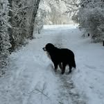 Burkhalter Max - @burkhalter.max - Instagram