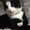 Max_XEDEX - @max.burkhardt07 - TikTok