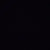 Wgtn.max - @max.burrell7 - TikTok