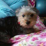 I Max Burney - @max_elperro - Instagram
