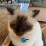 max - @_max_burton_ - Instagram
